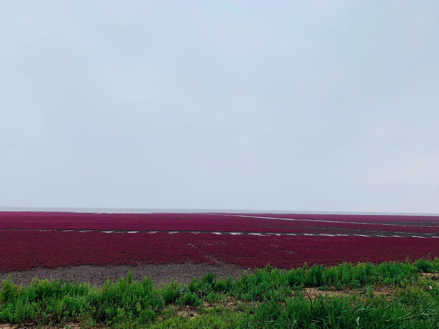 模板五-酒店左側(cè)廣告